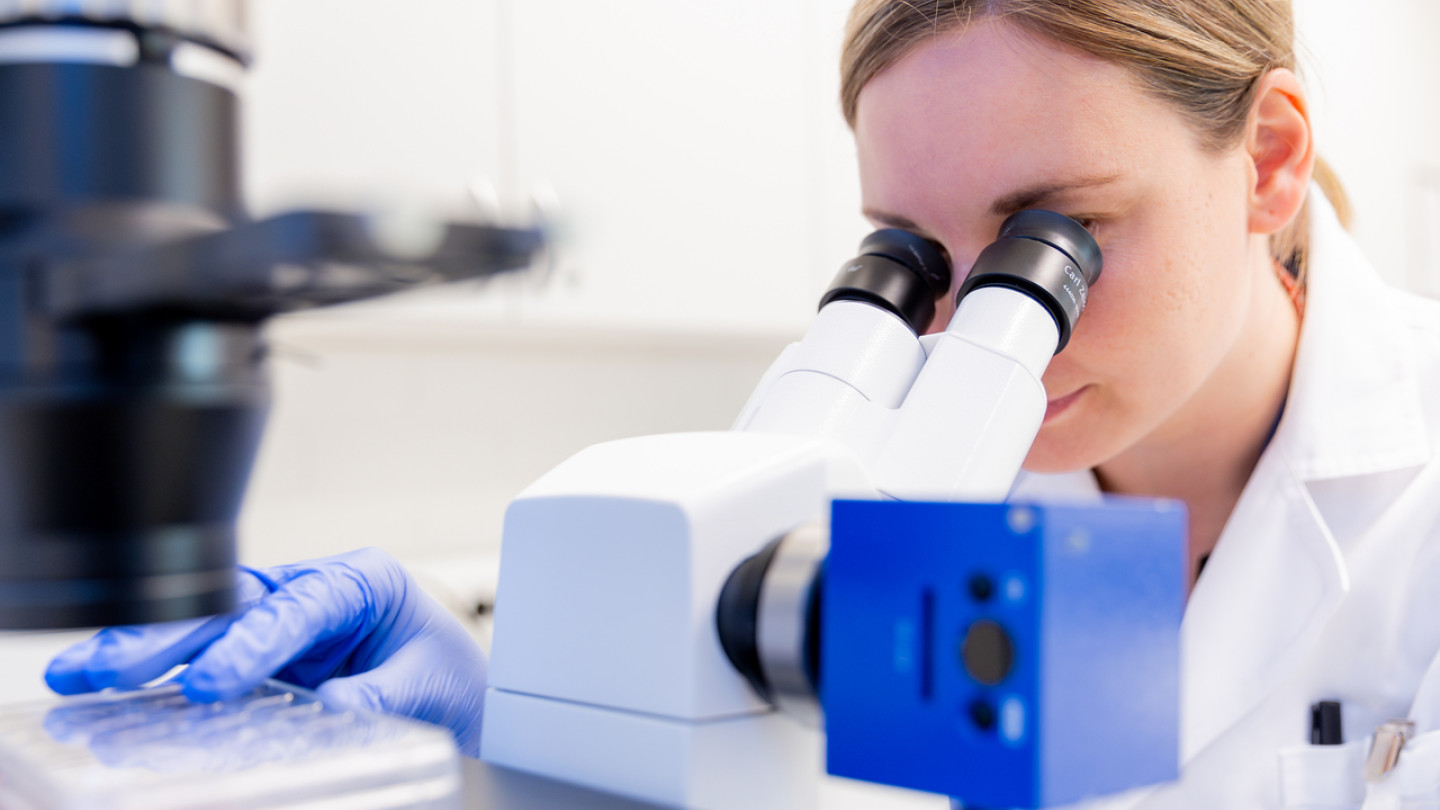 Tutkija tutkii laboratoriossa mikroskoopilla